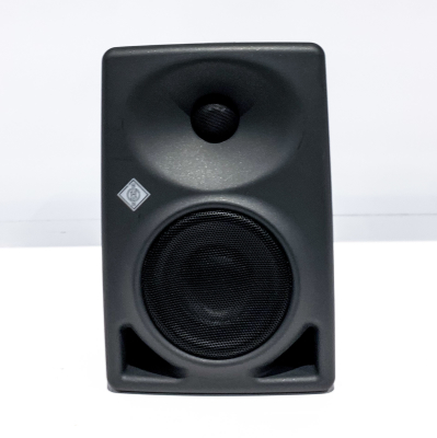 Store Special Product - Neumann - KH 80 DSP 4\